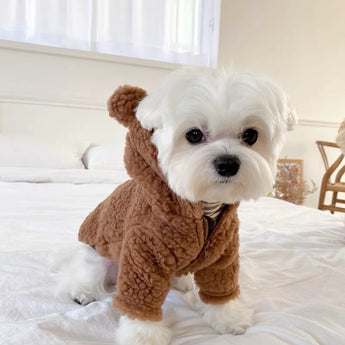 Fleece Bear Printed Dog Cat Hooded Coat | Softosy Pet Boutique