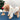 Fleece Bear Printed Dog Cat Hooded Coat | Softosy Pet Boutique
