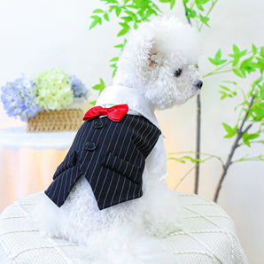 Bow Buttoned Dog Cat Harness Formal Shirt