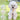 Bear Pattern Plaid Furry Dog Harness Leash