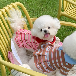 Color Block Striped Dog Cat Polo Dress
