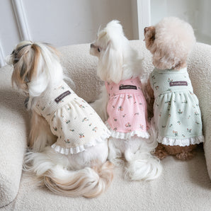 Floral Printed Waffle Soft Dog Cat Dress