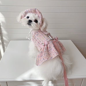 Dolce imbracatura multicolore per cani, guinzaglio e cappello 
