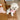 Fleece Letter Sport Style Dog Cat Jacket