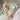 Sweet Lace Layered Dog Harness Leash