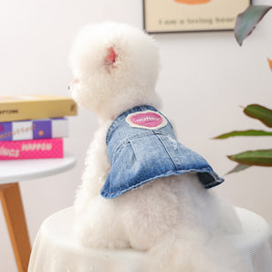 Honey Heart Pattern Denim Dog Cat Dress