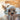 Casual Fleece Furry Dog Cat Hat