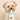 Cute Baby Bottle/Pacifier/Rattle Dog Toy