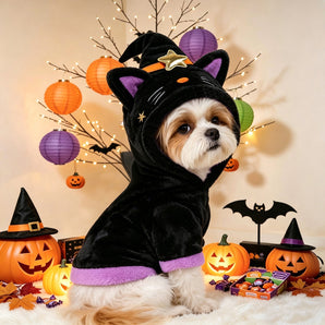 Halloween Witch Hat Cat Print Dog Cat Hoodie