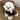 Cute Bear Pattern Color Block Dog Cat Sweater