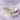 Bowknot & Pearl Dog Cat Collar/Leash