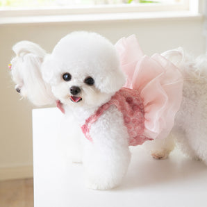 Rose Embroidered Dog Cat Lace Dress