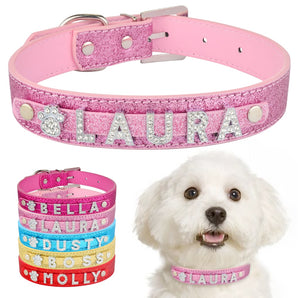 Personalized Dog Collar with Name